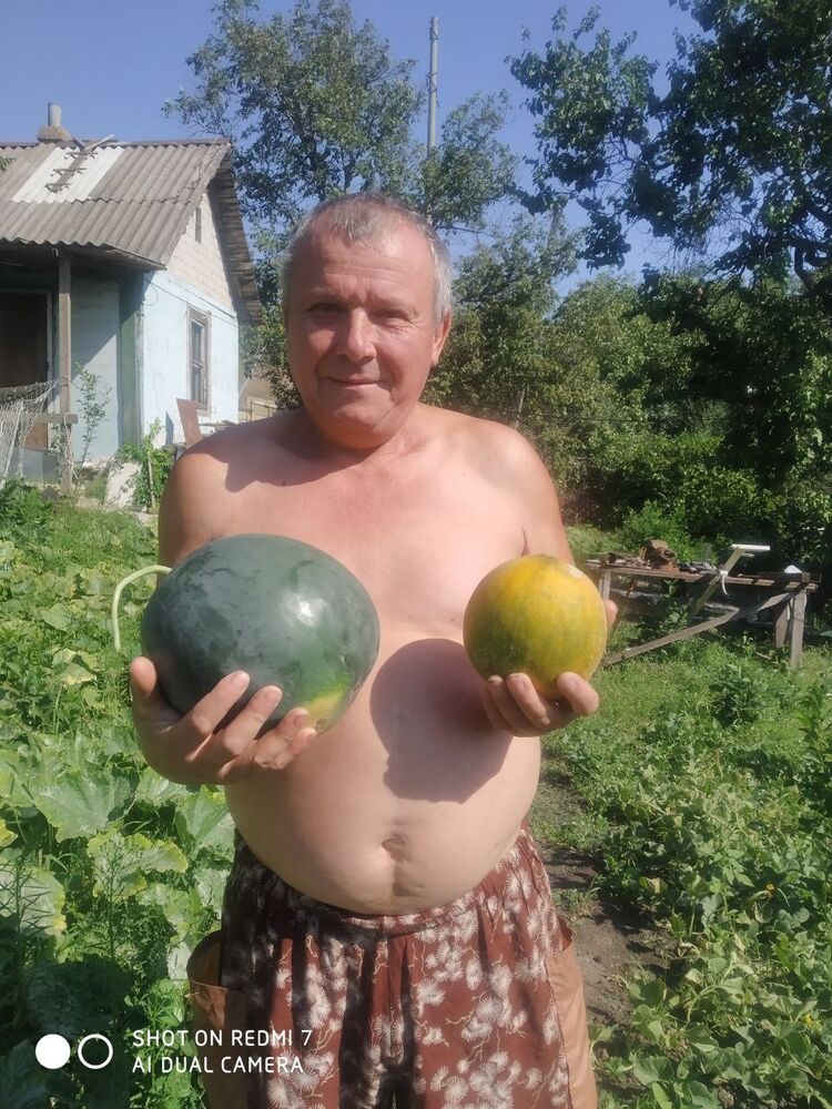  40271975  Igor, 62 ,    