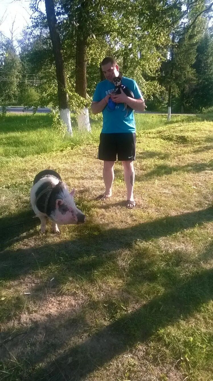 ���������� ������, ���� ������� ����, 38 ���, ������������ ��� ������, ����� � ���������