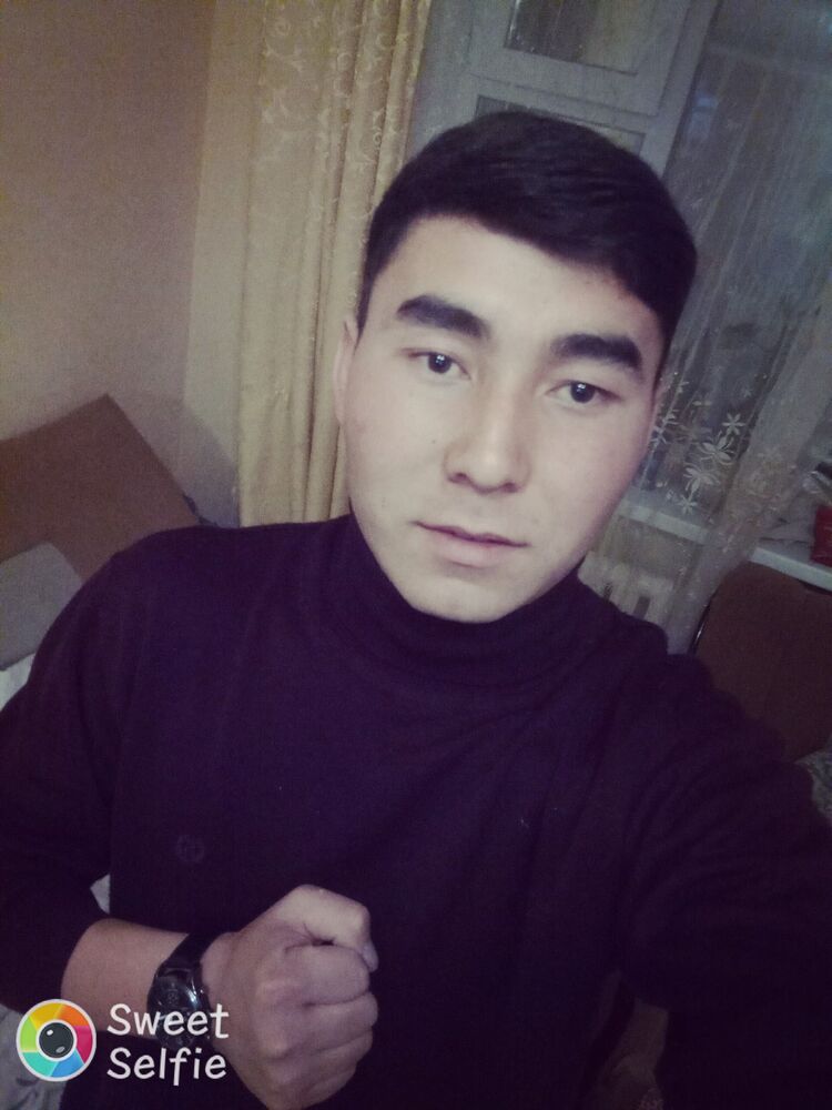  33802695  , 23 ,    
