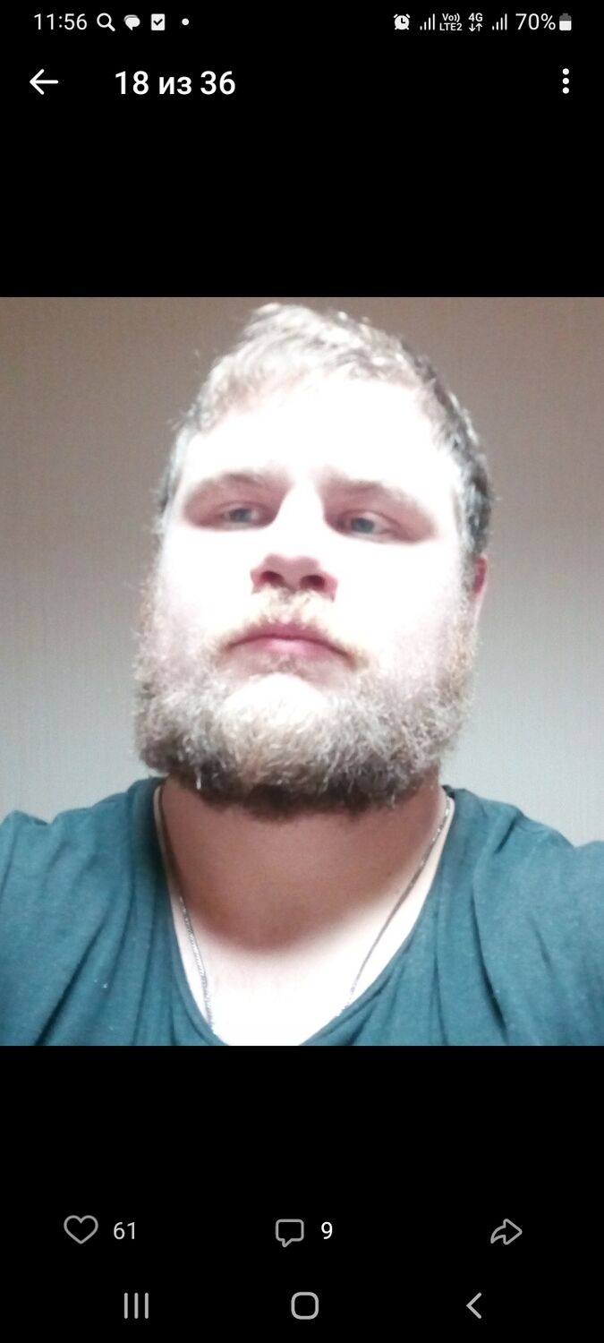  46535355  , 36 ,    