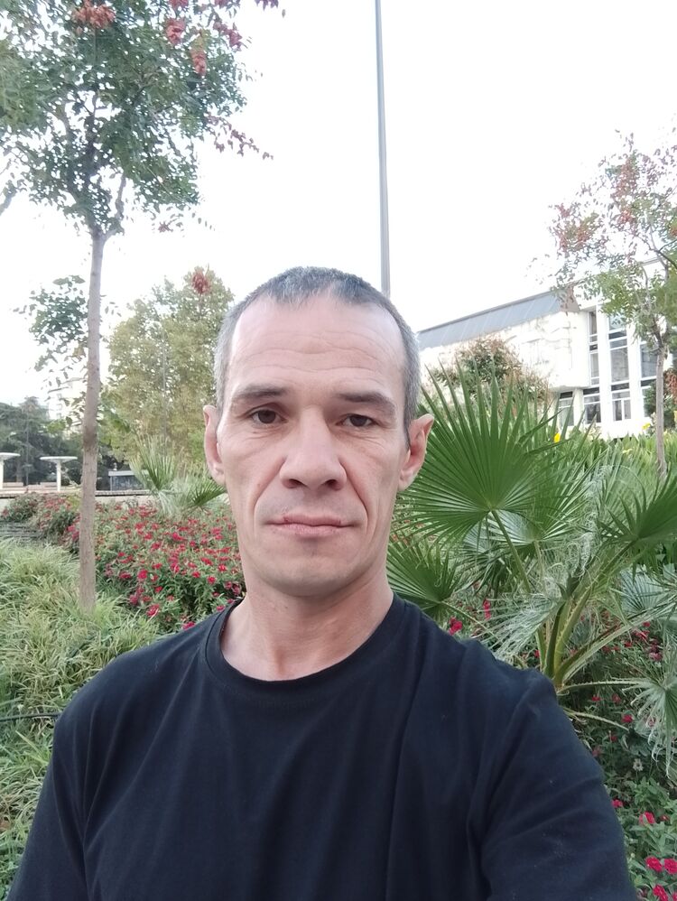  46054735  , 40 ,    