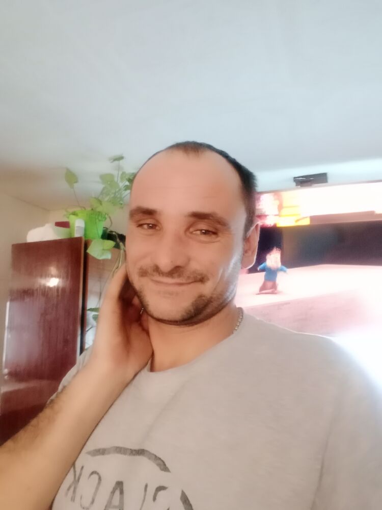  24795445  , 41 ,    