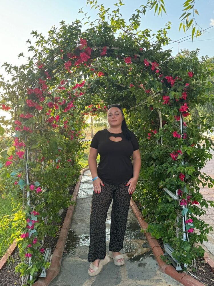 ���� 56033945 ������� �������, 31 ���, ���� ���������� � ��������