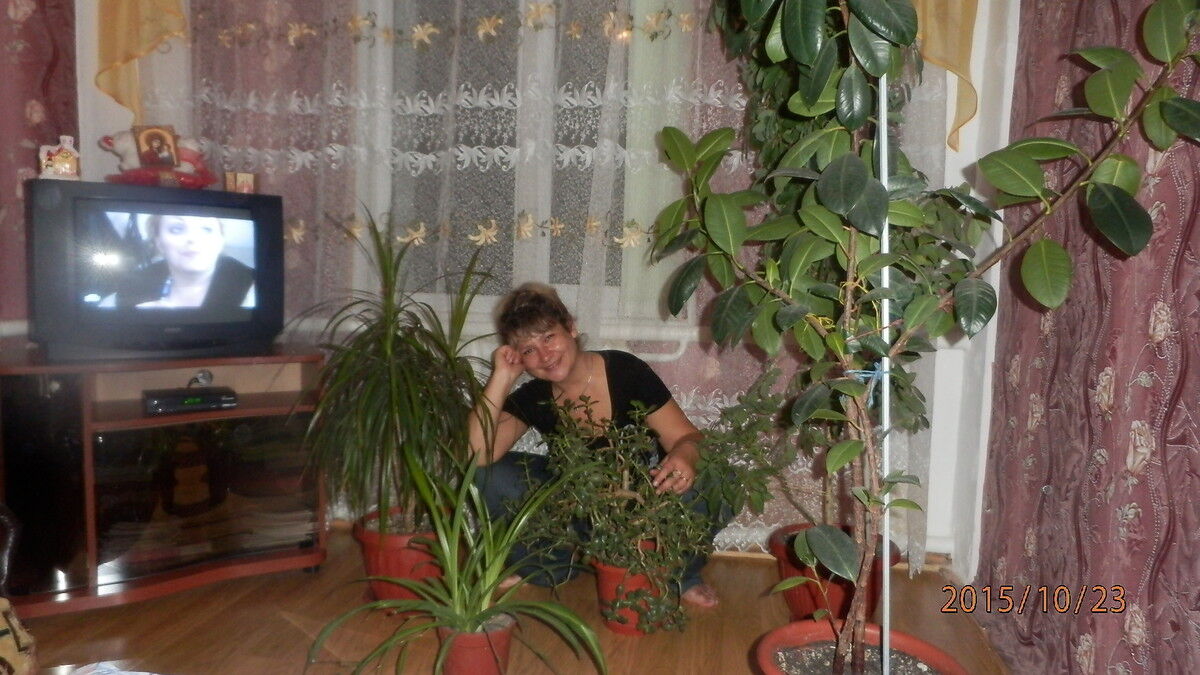  ,   , 49 ,     , c 