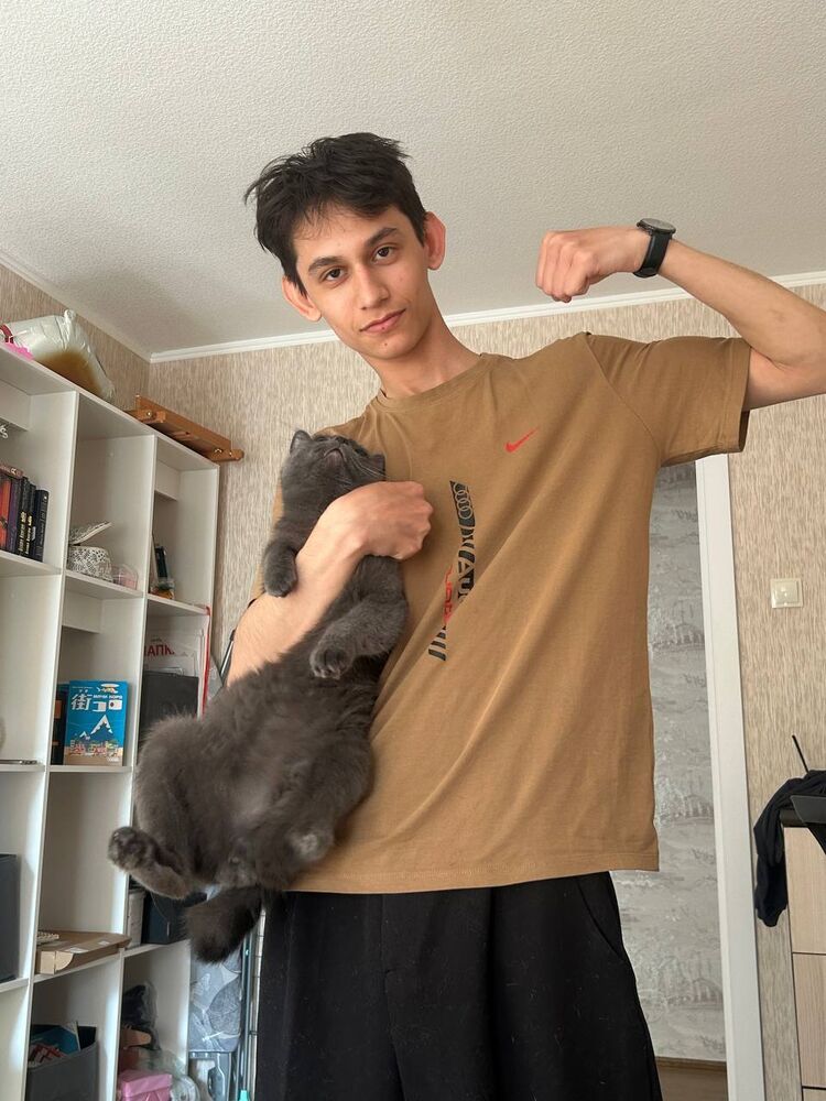  53582615  , 19 ,    -