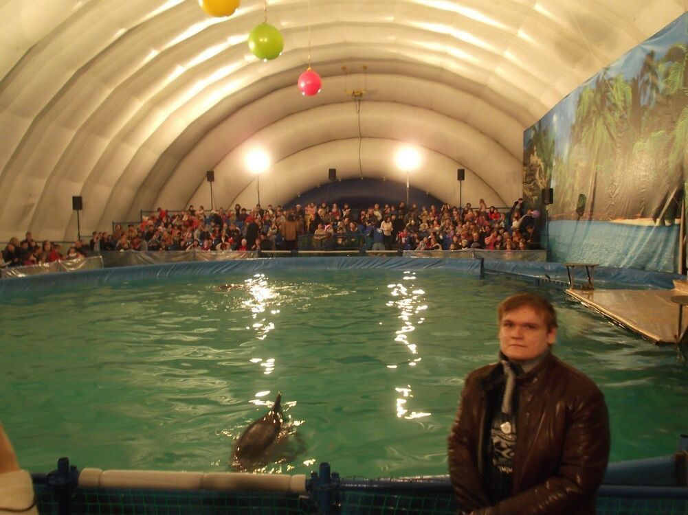 ���������� ���������, ���� ������� ���������, 31 ���, ������������ ��� ������, ����� � ���������, c�������� ���������