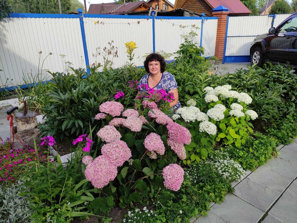 ���������� �����������, ���� ������� �����, 52 ����, ������������ ��� ������, ����� � ���������, c�������� ���������