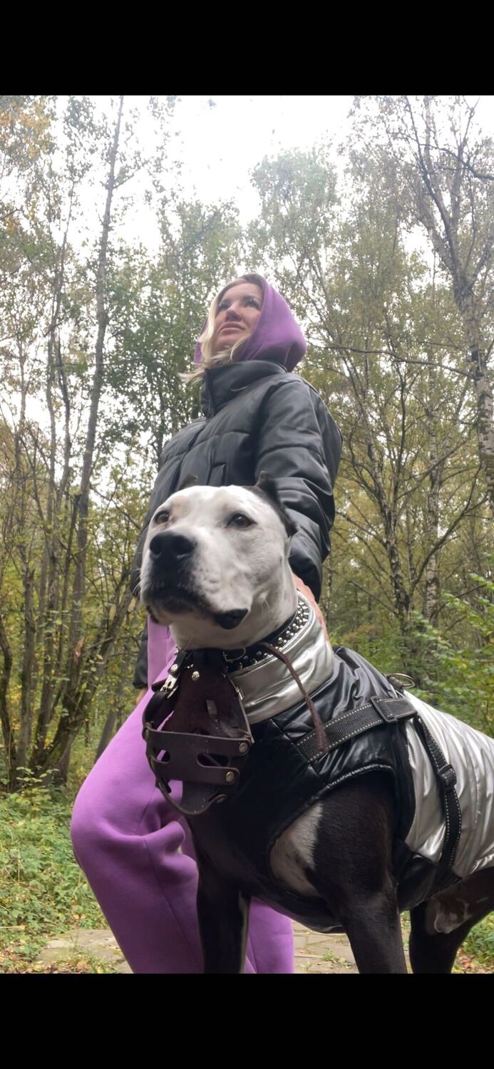 ���� 55489635 ������� �������, 39 ���, ���� ���������� � ������