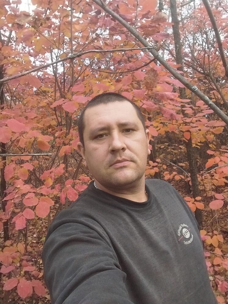 ���� 55493895 ������� �������, 36 ���, ���� ���������� � ���������