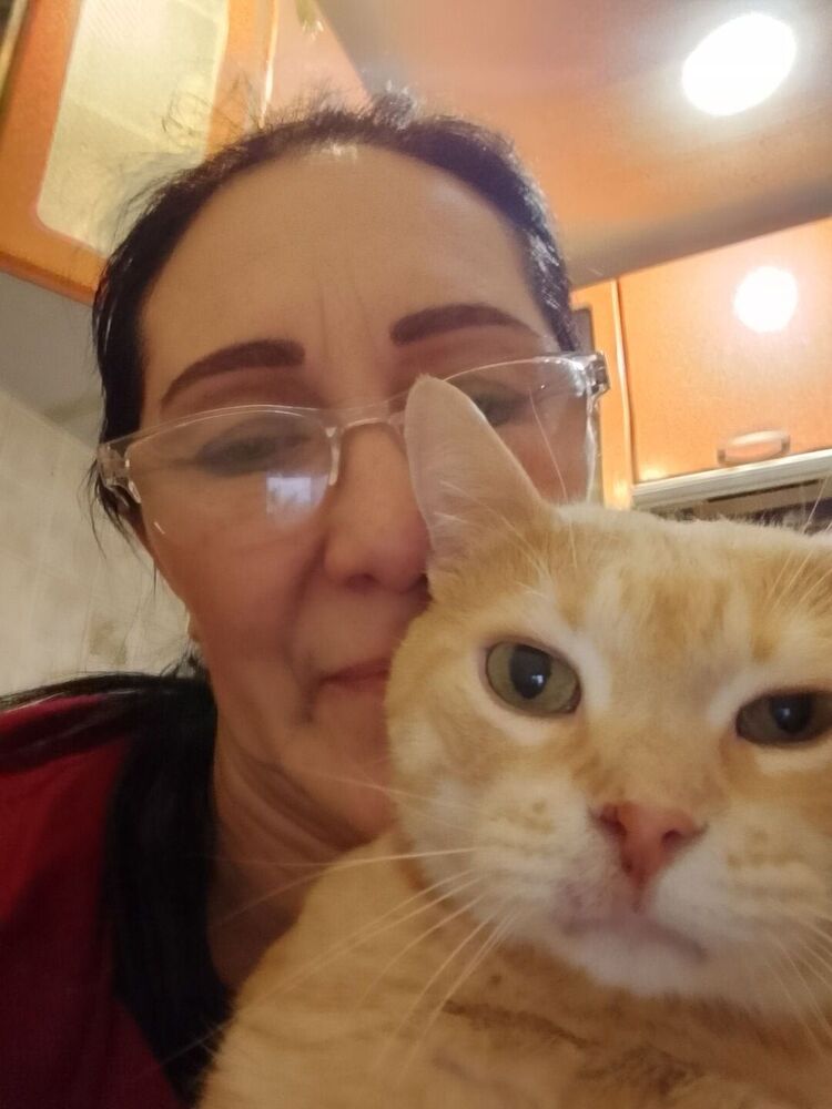 ���������� �����, ���� ������� �����, 72 ����, ������������ ��� ������, ����� � ���������