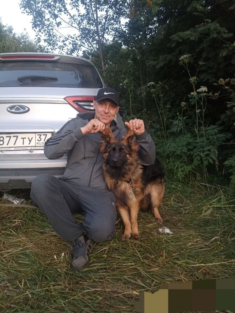 ���������� �������, ���� ������� ����, 46 ���, ������������ ��� ������, ����� � ���������