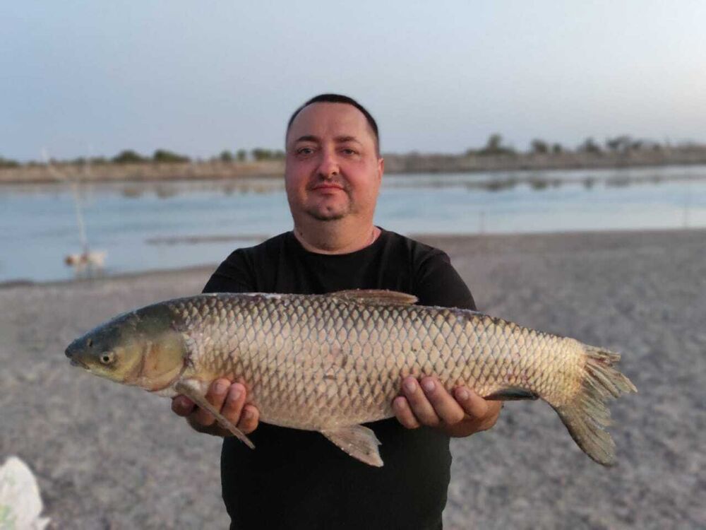 ���� 30428465 ������� Artyr, 35 ���, ���� ���������� � ������