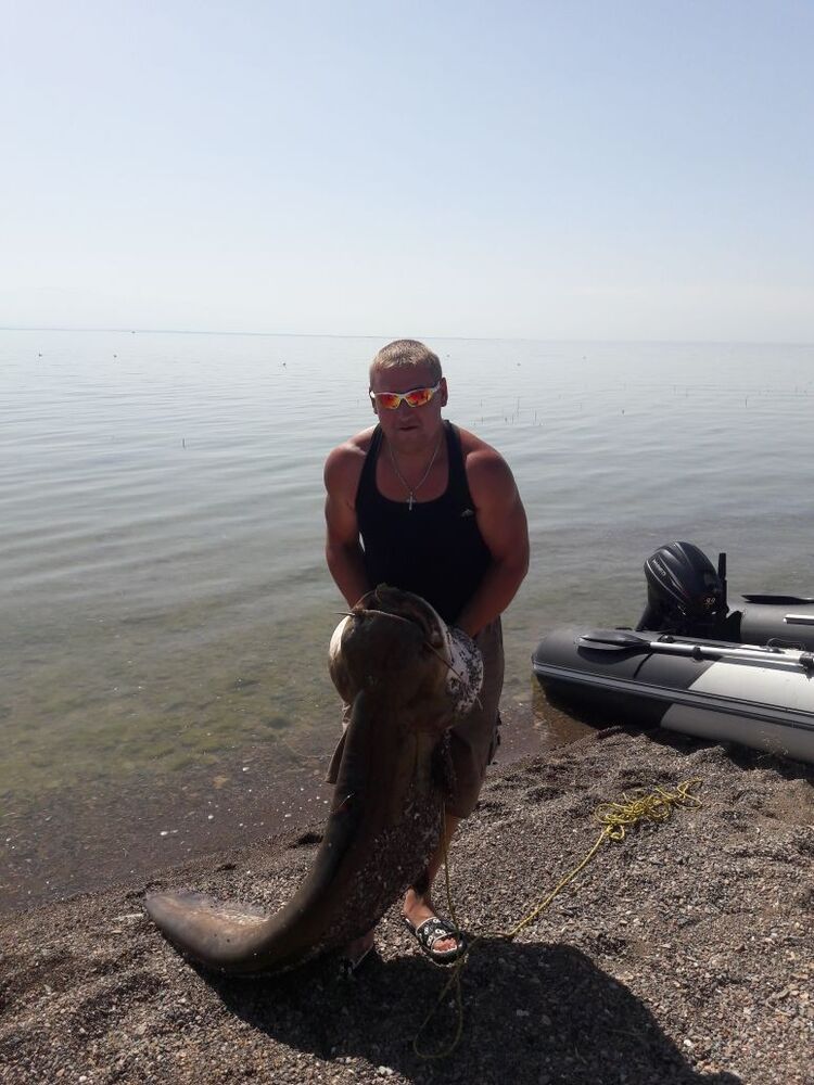 ���������� ������, ���� ������� �������, 40 ���, ������������ ��� ������, ����� � ���������, c�������� ���������, ���������