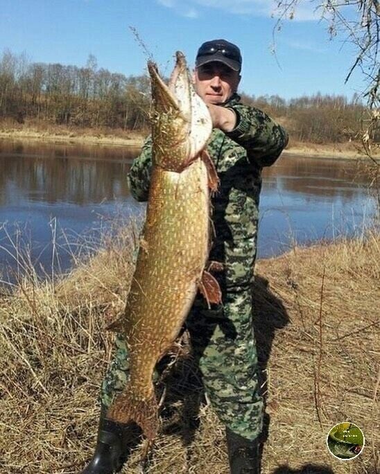  ,   , 55 ,   ,   , c , 