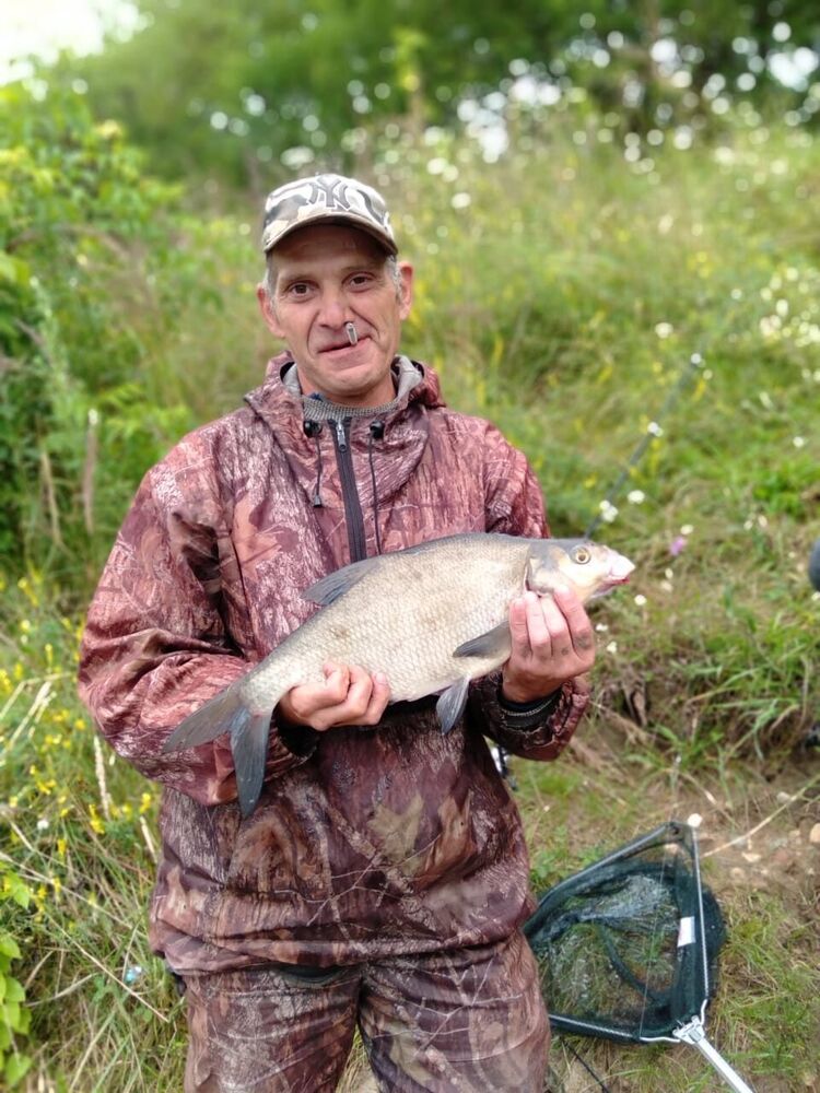 ���� 38772845 ������� �������, 50 ���, ���� ���������� � ������