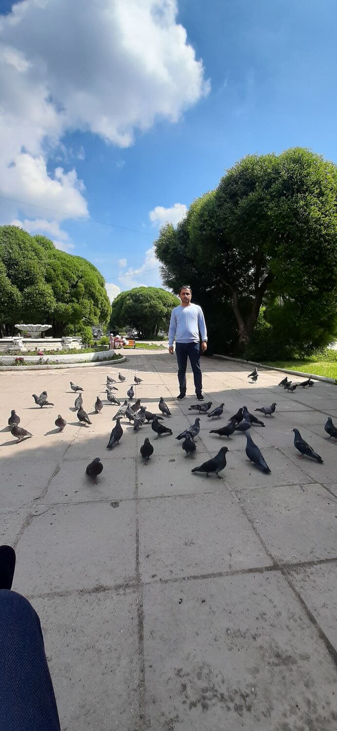 ���� 43390475 ������� �����, 35 ���, ���� ���������� � �����-����������