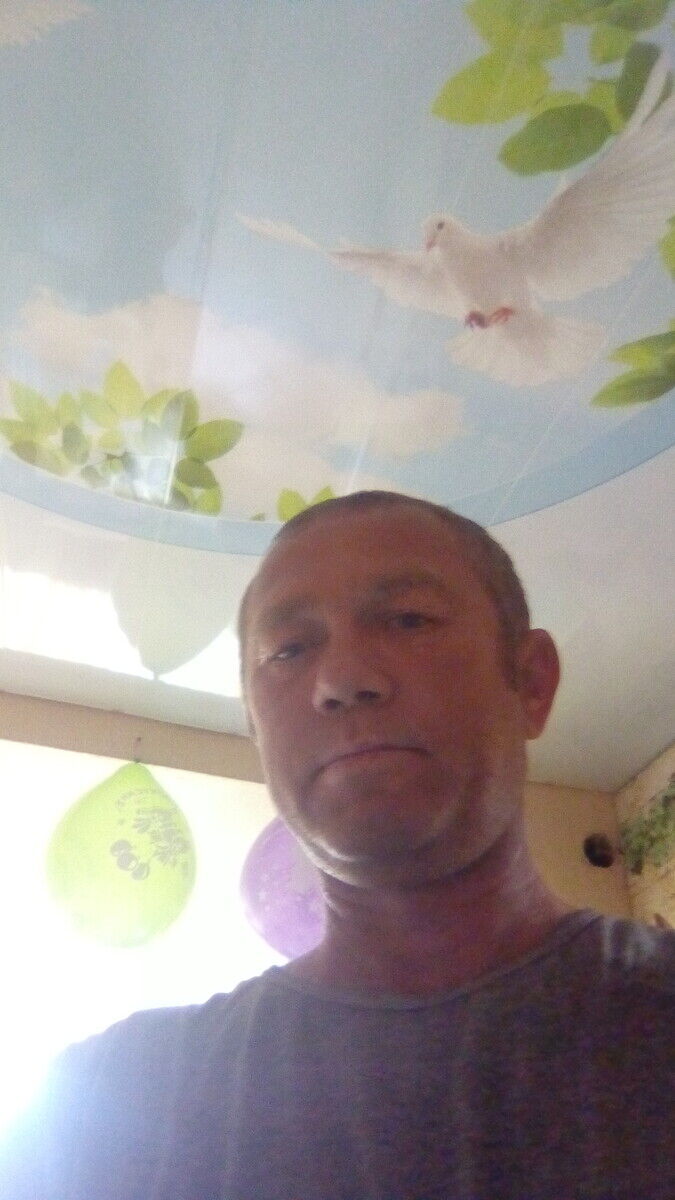  22468055  , 48 ,    