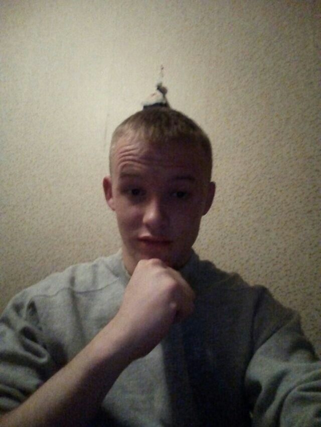 ���������� ������, ���� ������� ������, 27 ���, ������������ ��� ������, ����� � ���������, c�������� ���������