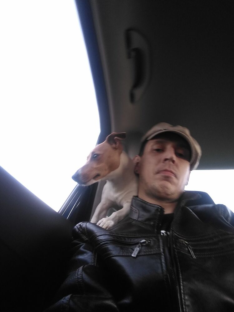 ���������� ������������, ���� ������� �����, 38 ���, ������������ ��� ������, ����� � ���������, c�������� ���������