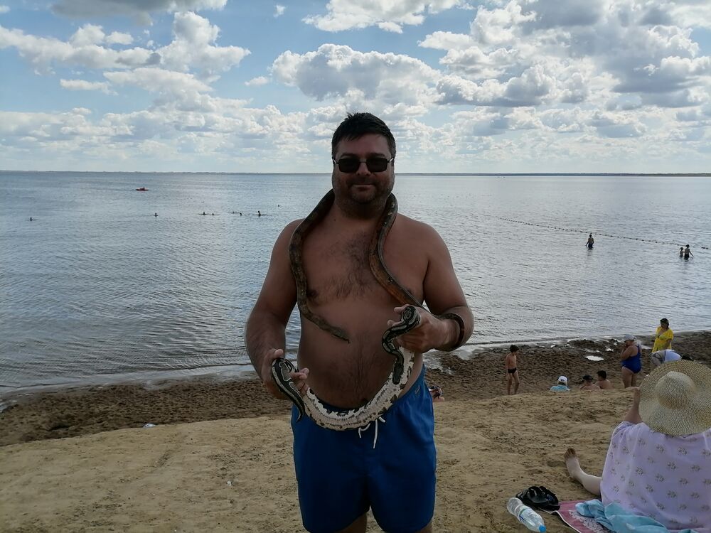 34912885  , 41 ,    