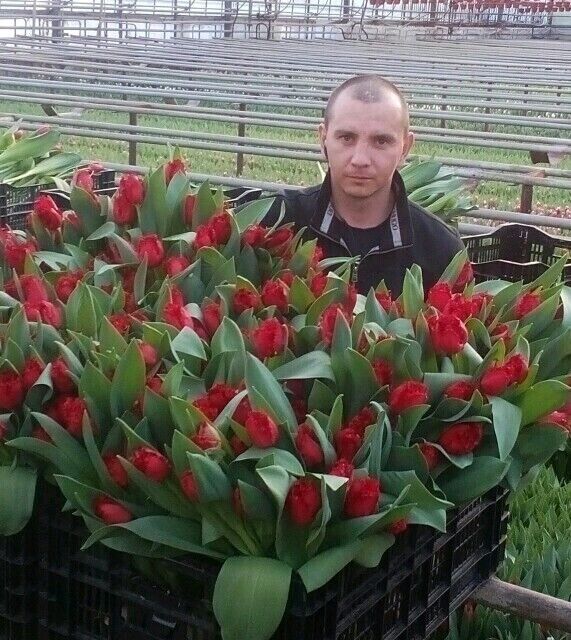 ���������� ������, ���� ������� �������, 37 ���, ������������ ��� ������, ����� � ���������, c�������� ���������