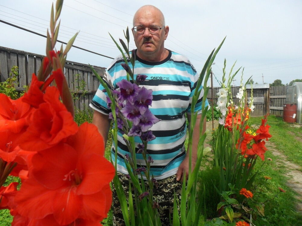  ,   , 61 ,  