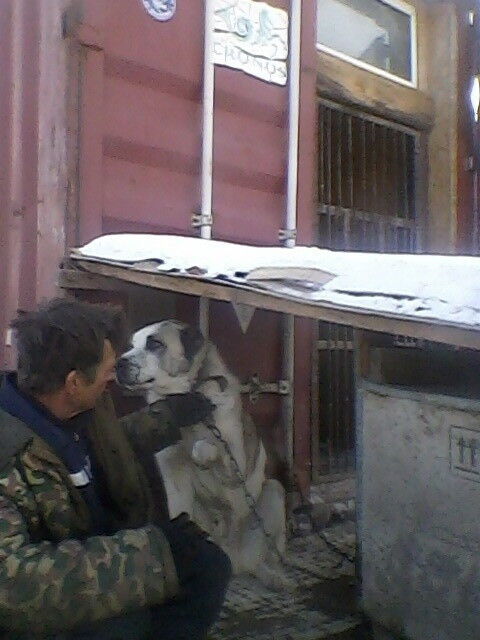 ���� 5736545 ������� ����, 58 ���, ���� ���������� � ������