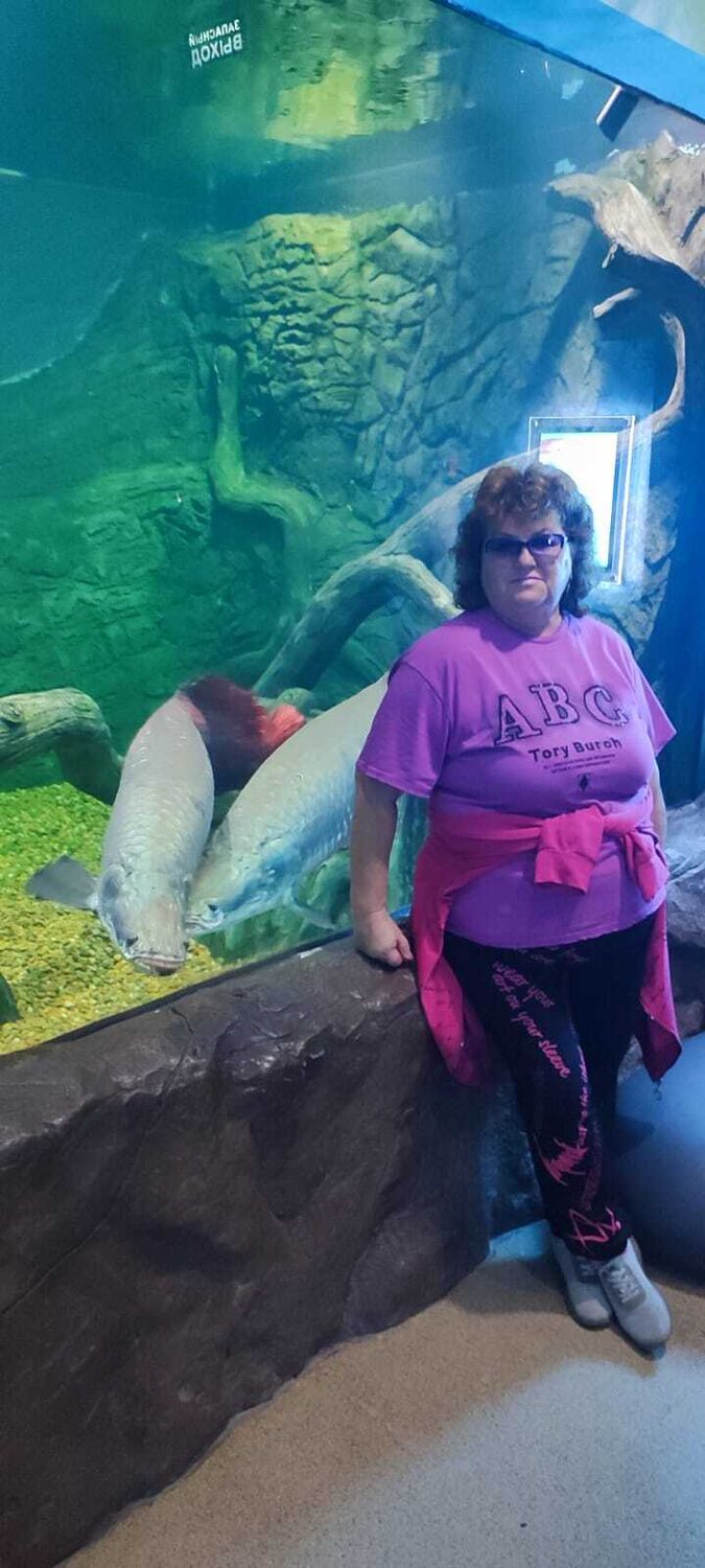 ���������� ������-��-����, ���� ������� ������, 60 ���, ������������ ��� ������, ����� � ���������