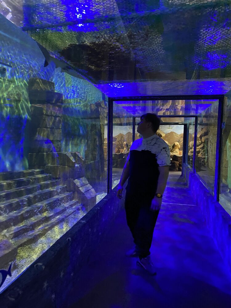 ���������� ���������, ���� ����� �������, 23 ����, ������������ ��� ����� � ���������, c�������� ���������