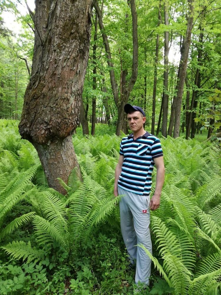  ,   , 49 ,  