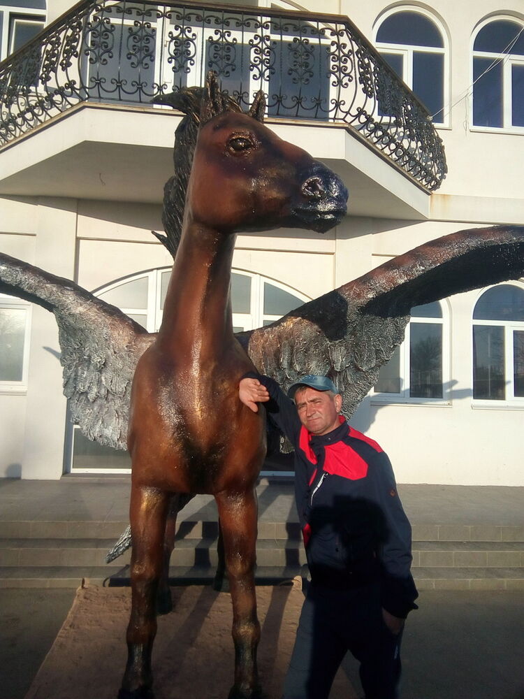  ,   , 54 ,   