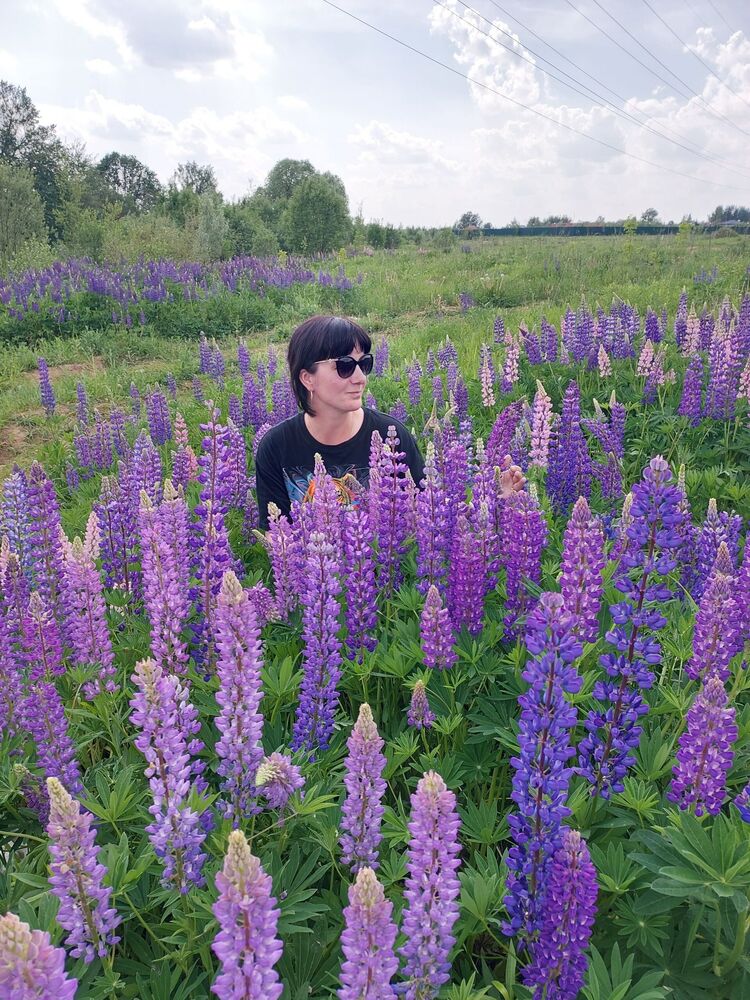 ���������� ������, ���� ������� ������, 41 ���, ������������ ��� c�������� ���������