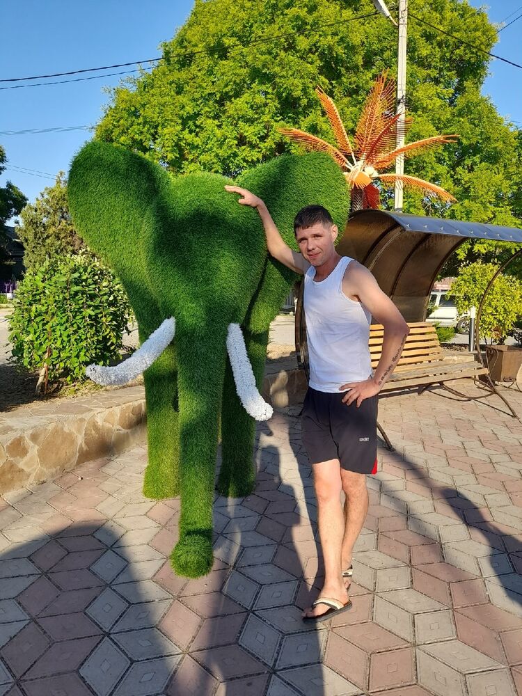 ���������� �����������, ���� ������� ����� ���� �, 38 ���, ������������ ��� ������, ����� � ���������, c�������� ���������