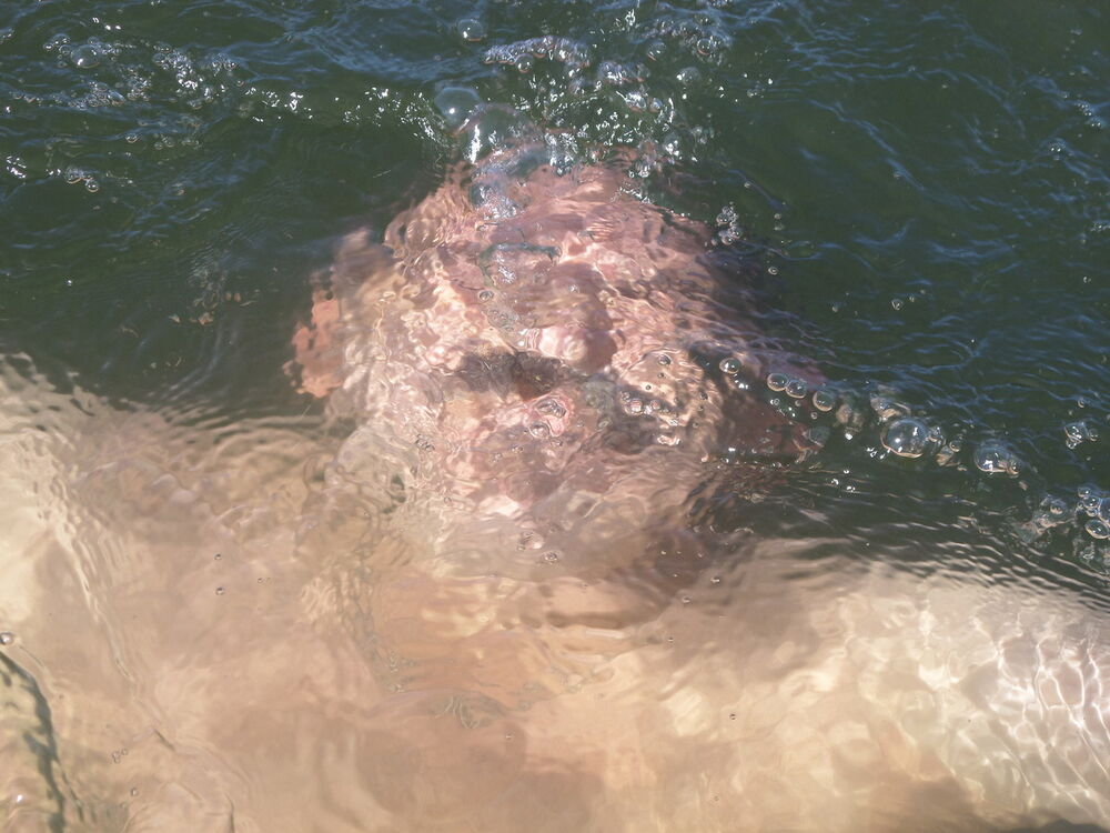  5844545  , 61 ,     