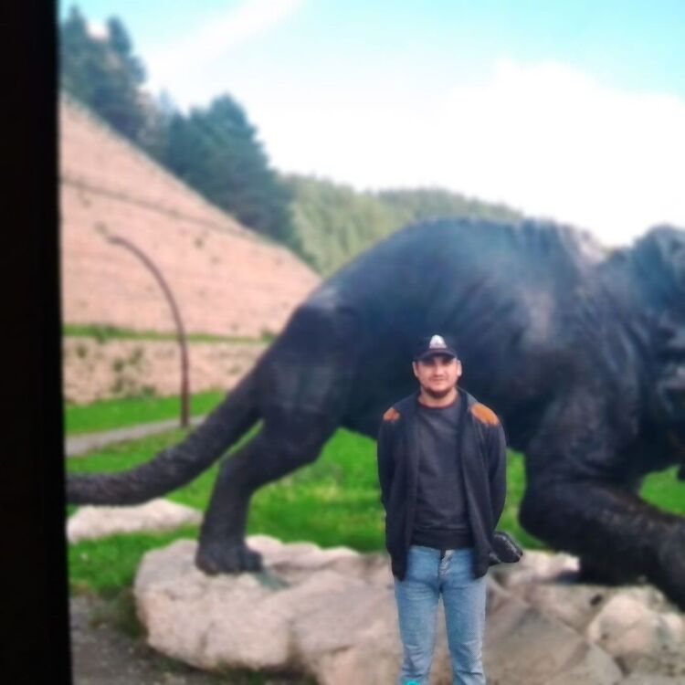 ���� 52764195 ������� �������, 36 ���, ���� ���������� � �����-���������