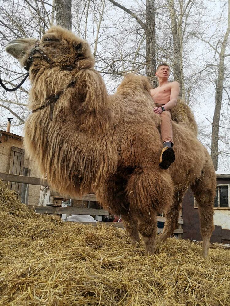 ���������� ������������, ���� ������� �����, 37 ���, ������������ ��� ������, ����� � ���������