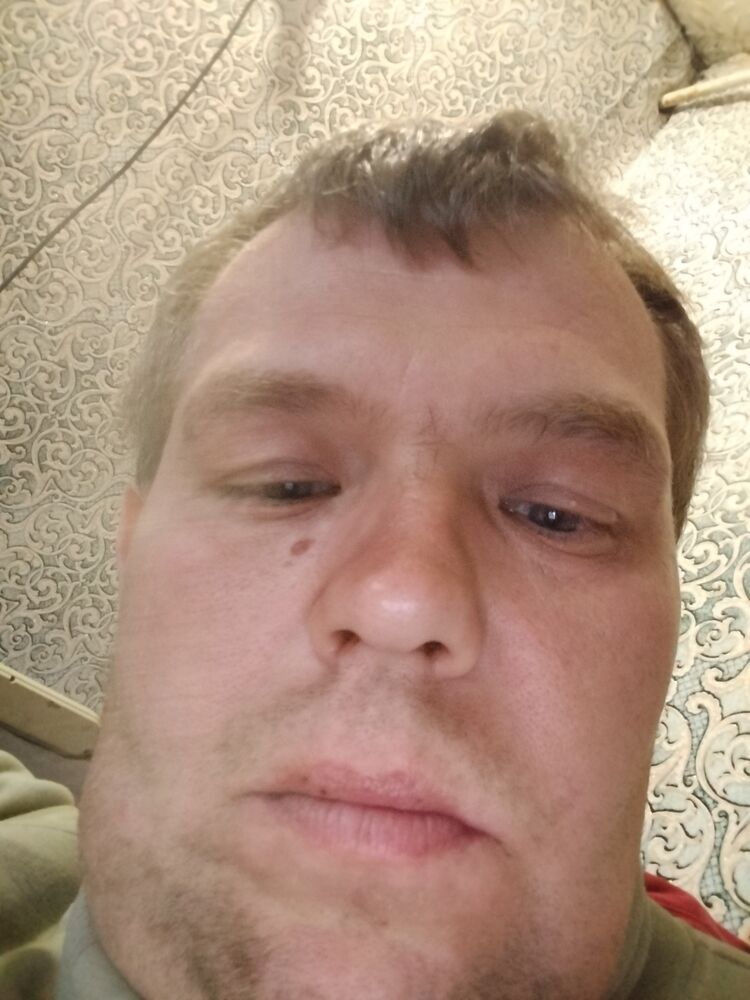  33666155  , 42 ,    