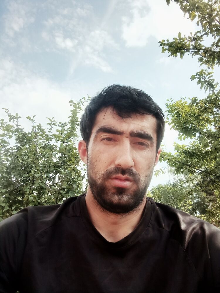  37717965  , 34 ,    