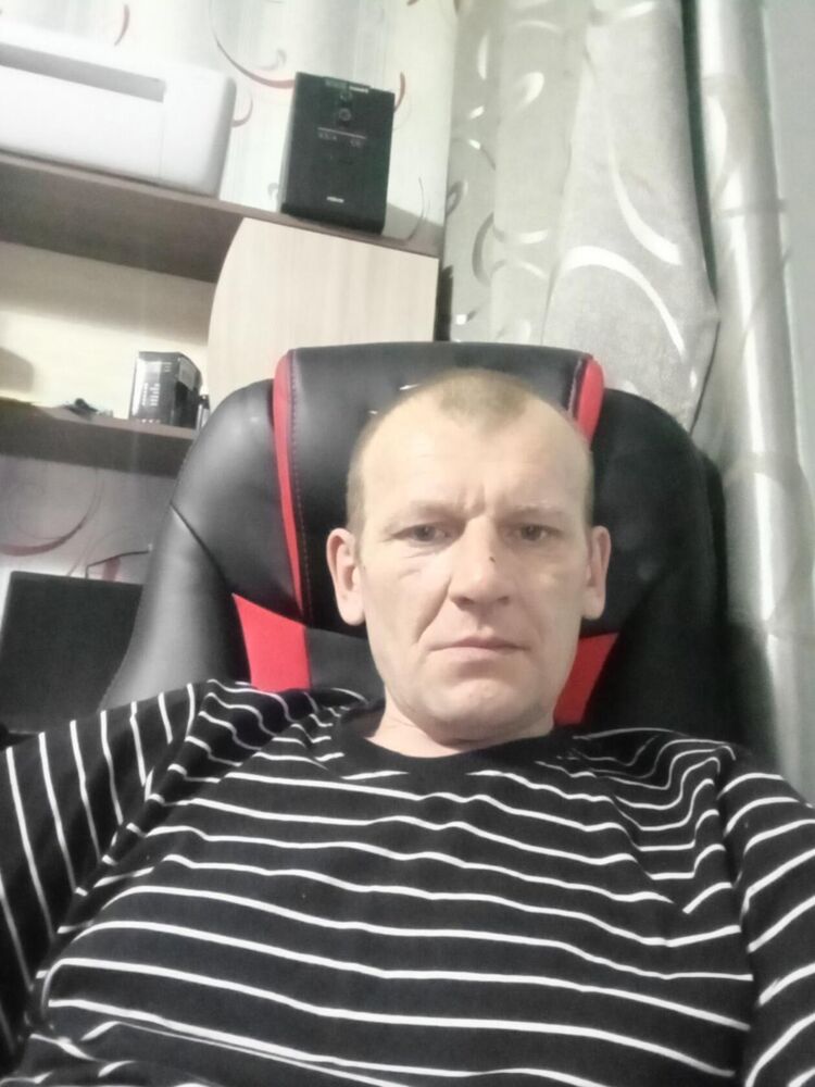  43353145  , 44 ,    