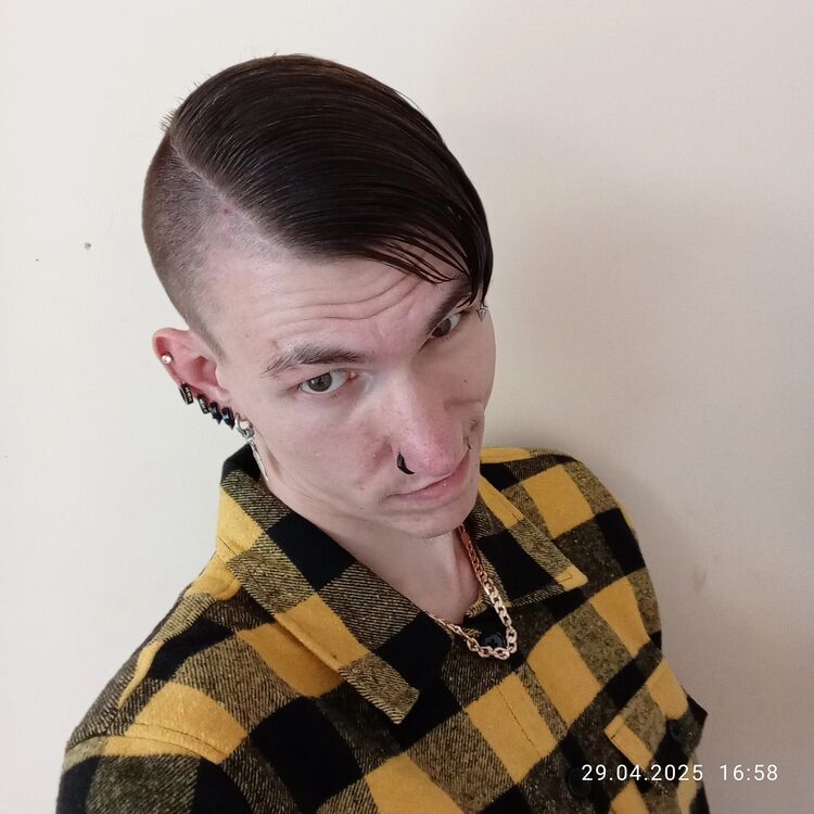  ,   ˸, 25 ,     , c 