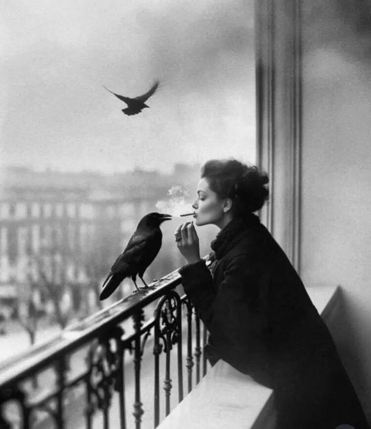 ���������� ������, ���� ������� �����, 46 ���, ������������ 