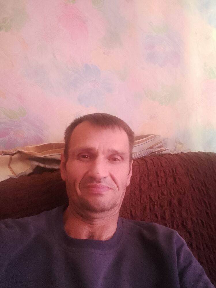  53562935  , 44 ,    