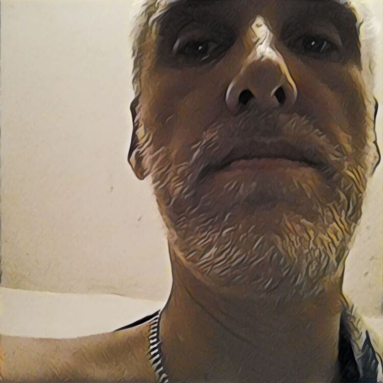  26135045  ˸, 49 ,    