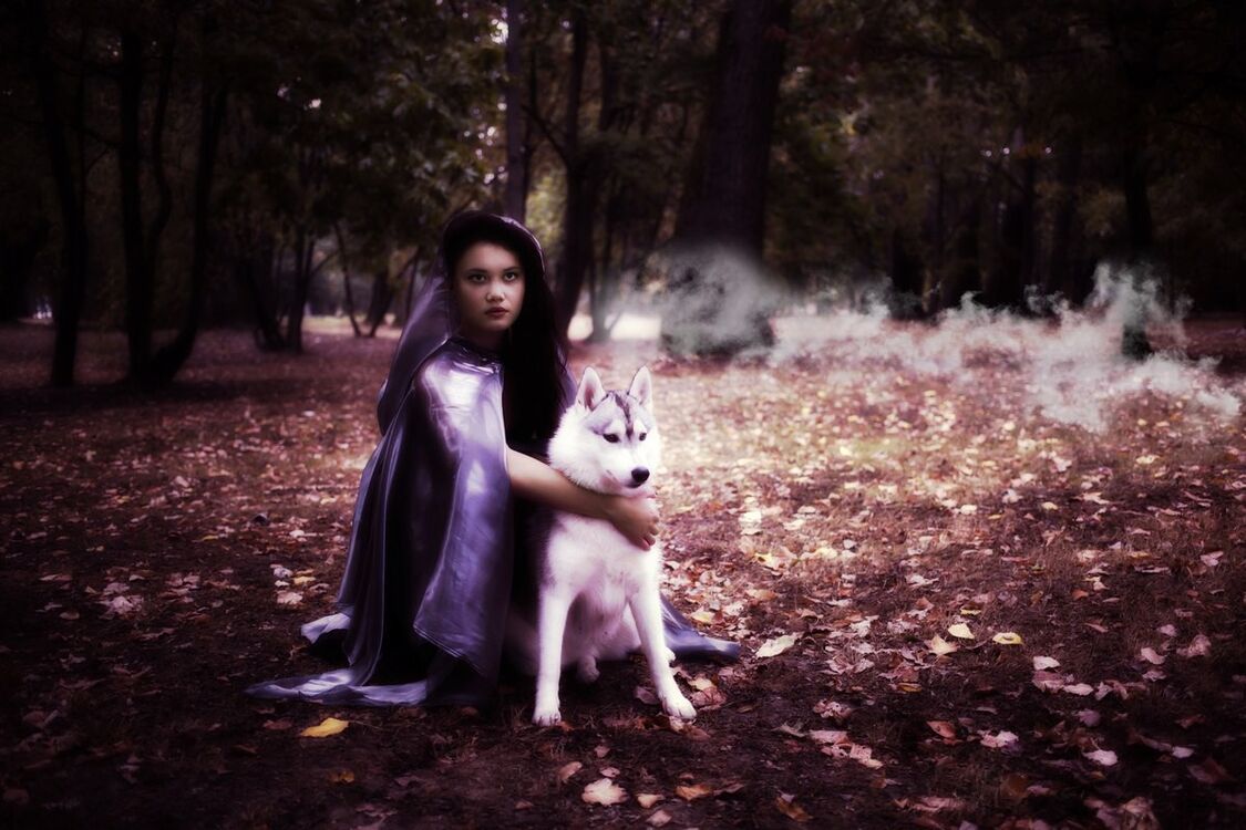 ���������� �����, ���� ������� ���������, 29 ���, ������������ ��� ������, ����� � ���������, c�������� ���������