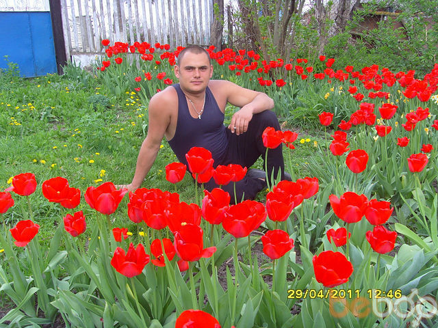  ,   , 38 ,     , c 