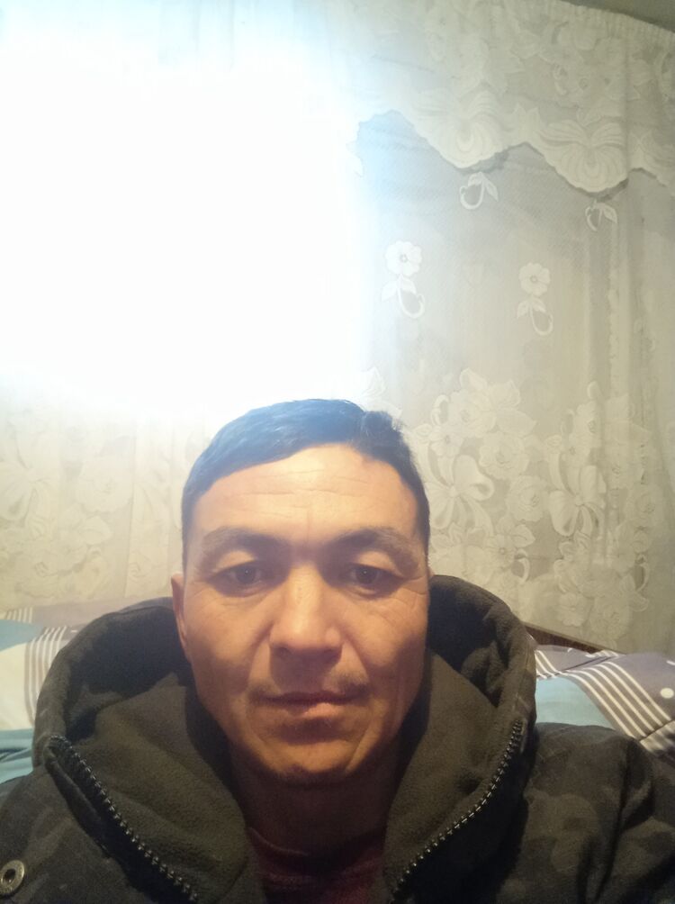  39958205  , 39 ,    