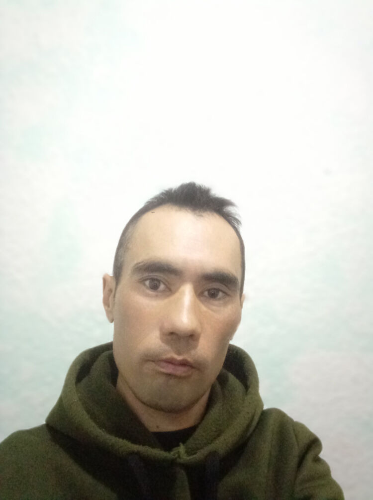  49036265  , 29 ,    