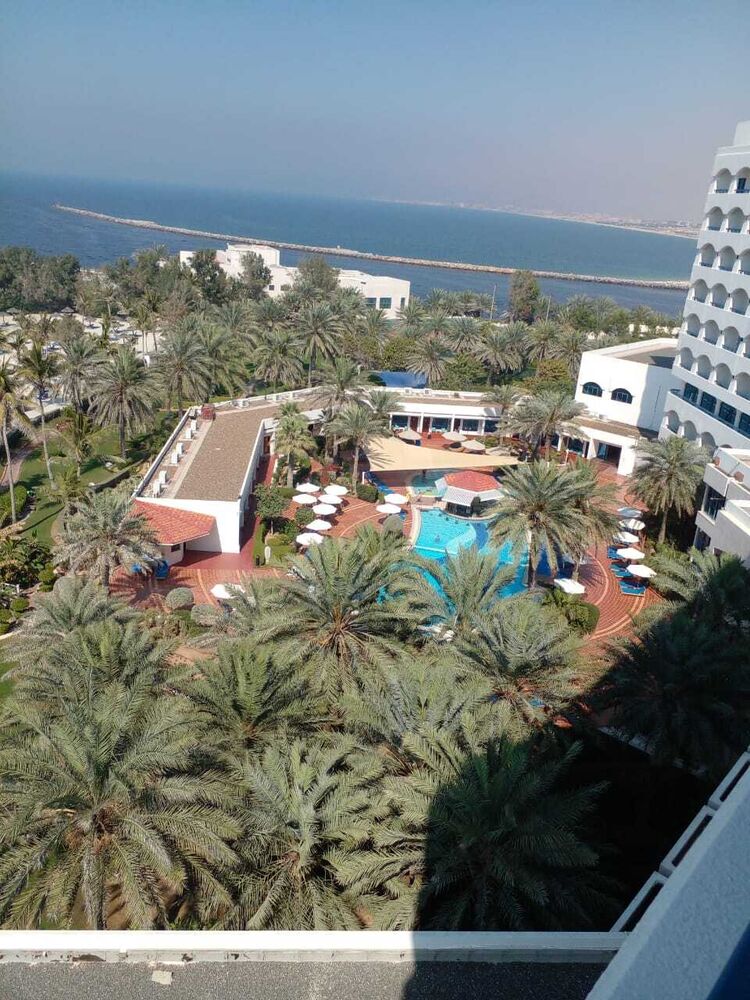  33105235  Mamed, 26 ,    