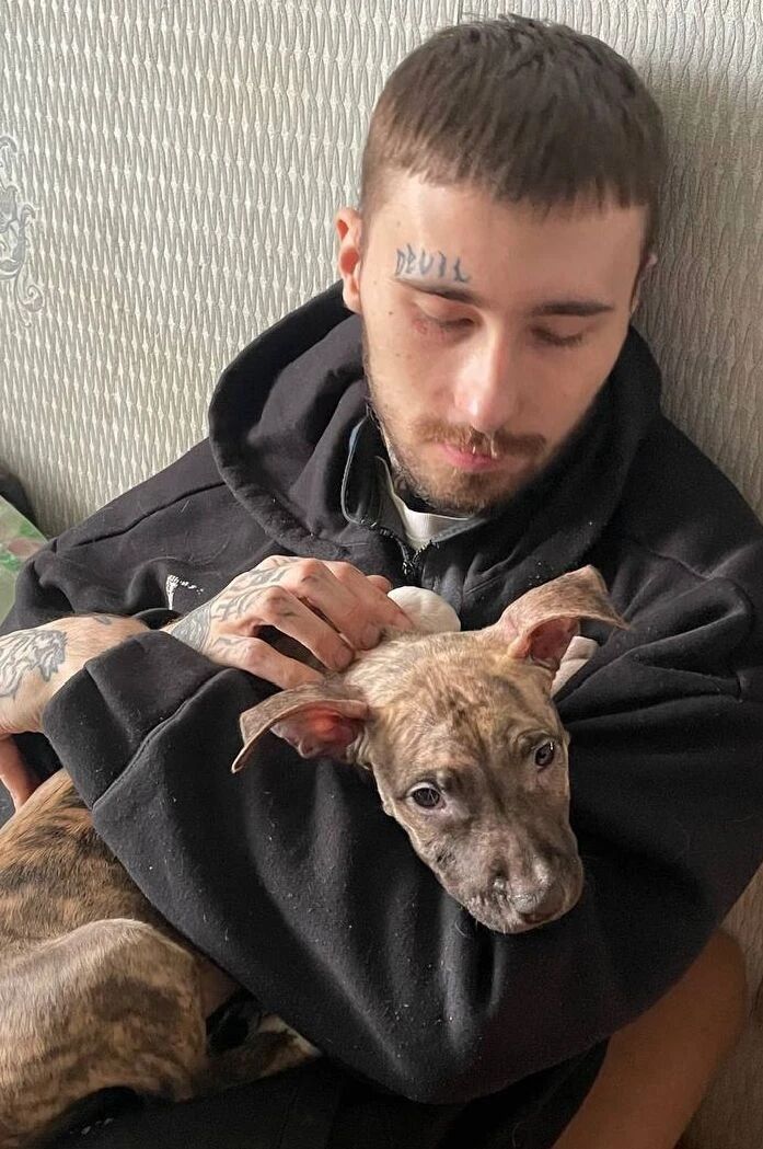 ���� 56261935 ����� ����, 23 ����, ���� ���������� � �������������