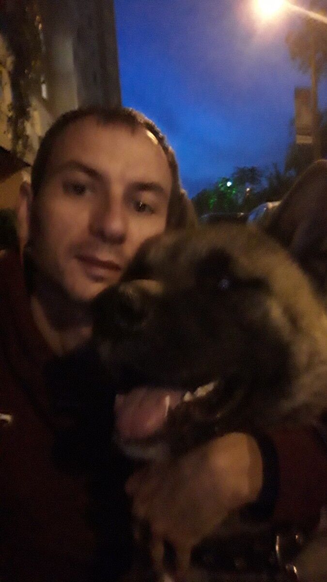 ���������� ����, ���� ������� �������, 40 ���, ������������ ��� ������, ����� � ���������, c�������� ���������